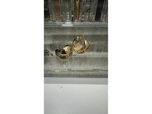 Cresent Hoop earrings